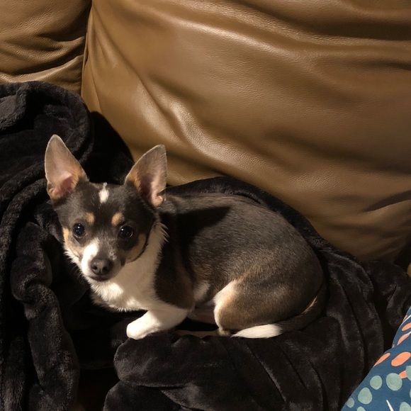 Meet your Posher, Marcie - Picture 10 of 10